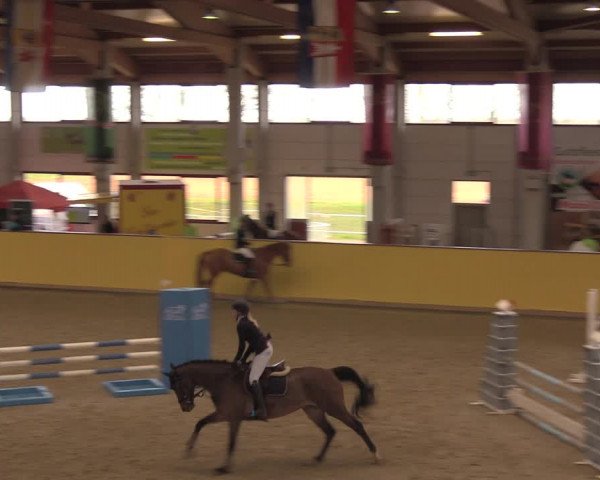 Reitturnier Prussendorf 2020