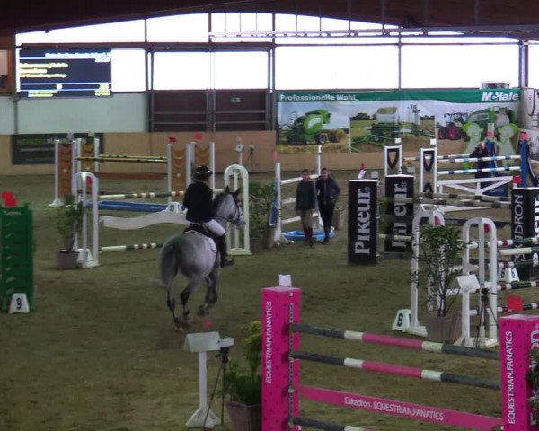 Reitturnier Borgholzhausen-Westbarthausen 2020