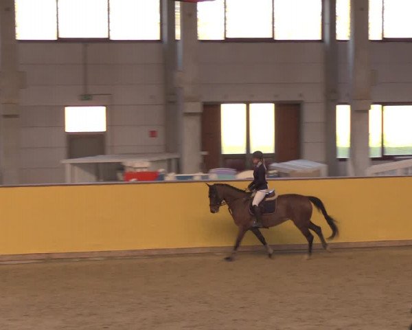 Reitturnier Prussendorf 2020