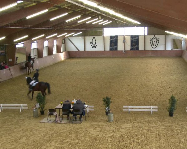 Reitturnier Bad Salzuflen 2020