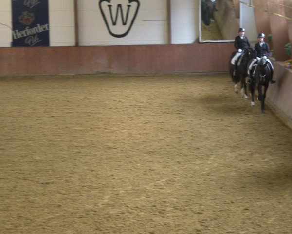 Reitturnier Bad Salzuflen 2020