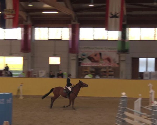 Reitturnier Prussendorf 2020
