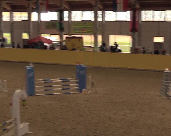 Reitturnier Prussendorf 2020