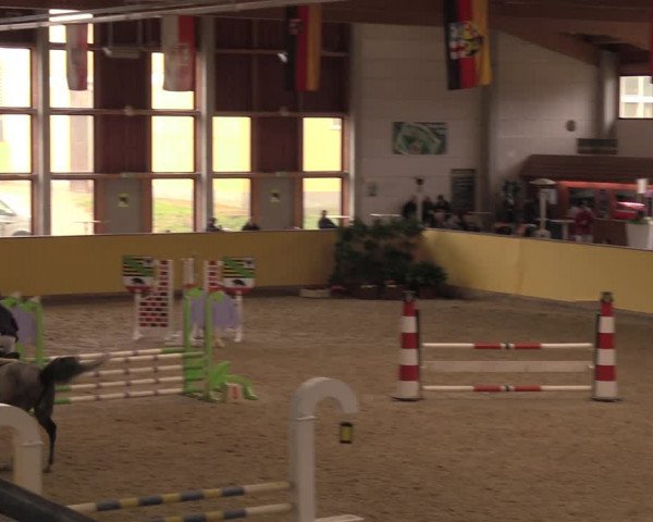Reitturnier Prussendorf 2020