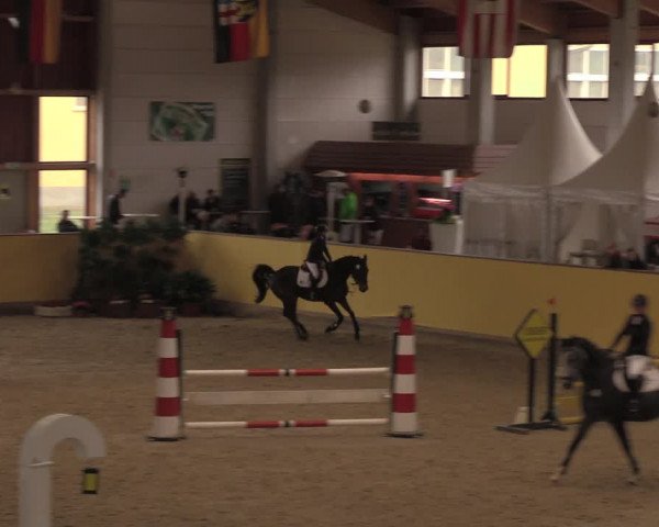 Reitturnier Prussendorf 2020