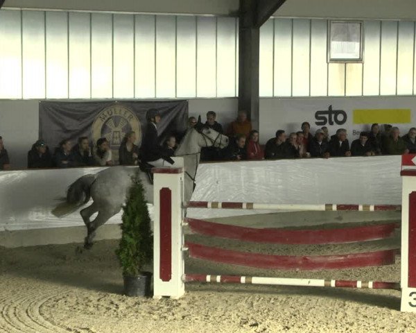 Reitturnier Karlsfeld/Obb. 2020