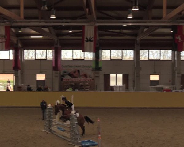 Reitturnier Prussendorf 2020