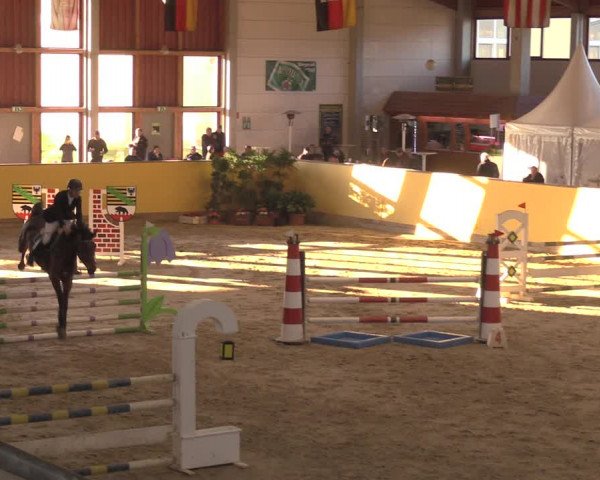 Reitturnier Prussendorf 2020