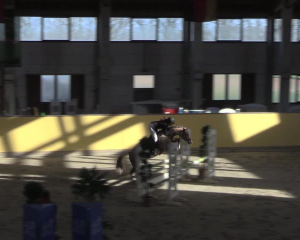 Reitturnier Prussendorf 2020