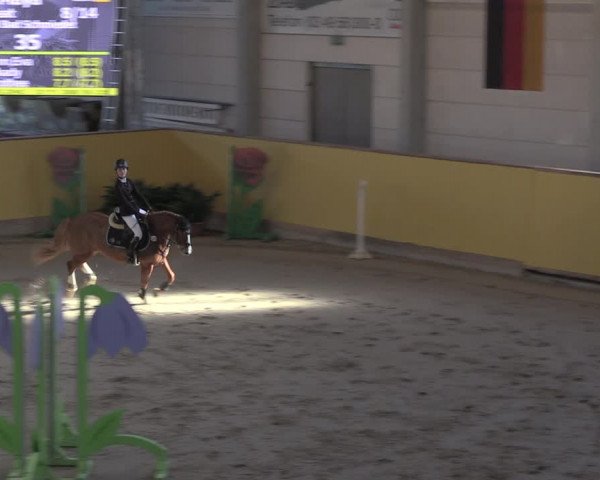 Reitturnier Prussendorf 2020