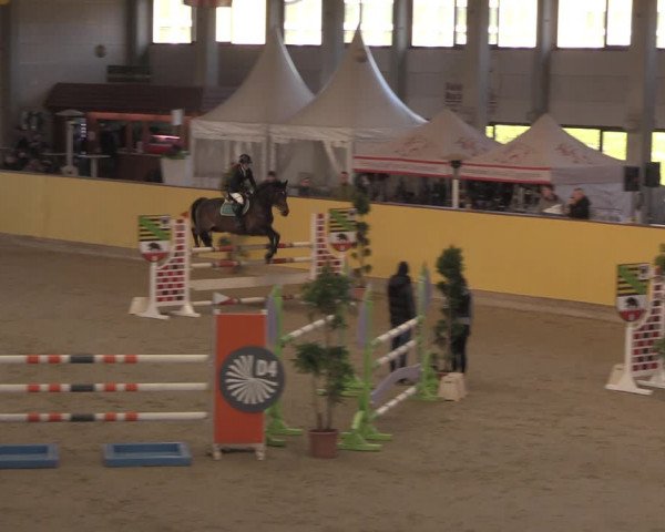 Reitturnier Prussendorf 2020