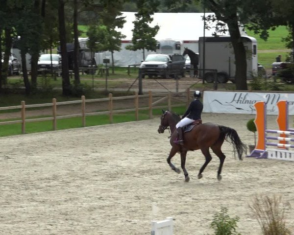 Reitturnier Westergellersen 2021