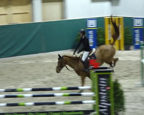 Reitturnier Dielsdorf, Horsepark 2020