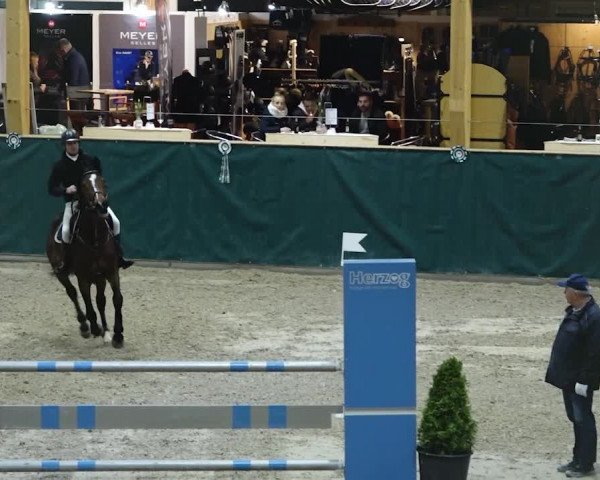 Reitturnier Dielsdorf, Horsepark 2020