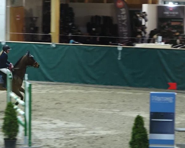 Reitturnier Dielsdorf, Horsepark 2020