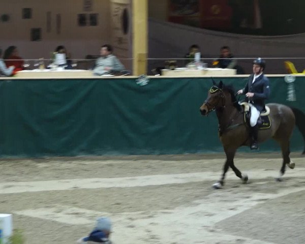 Reitturnier Dielsdorf, Horsepark 2020