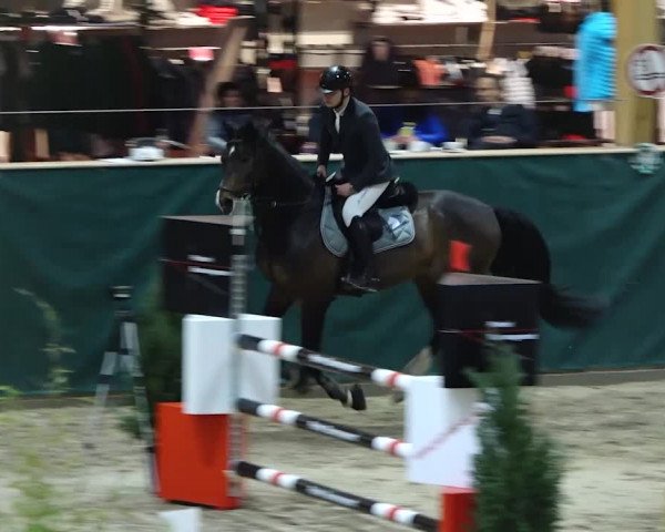 Reitturnier Dielsdorf, Horsepark 2020