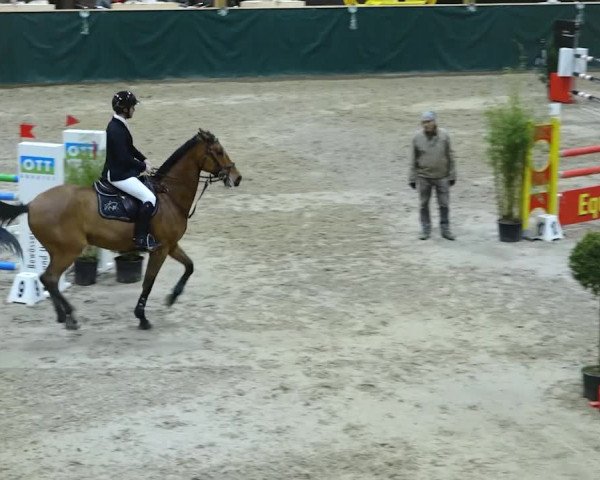 Reitturnier Dielsdorf, Horsepark 2020