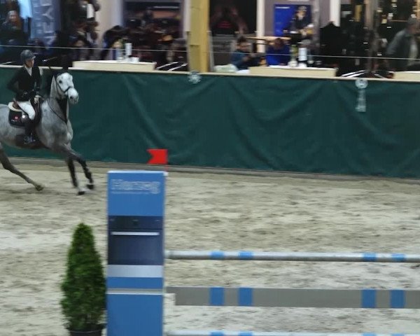 Reitturnier Dielsdorf, Horsepark 2020