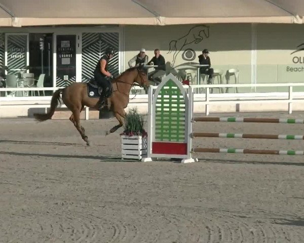 MET III Oliva - Woche 1 (ESP) 2020