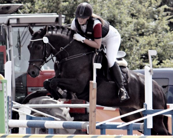 Springpferd Pippilotta 33 (Deutsches Reitpony, 2005, von Finkos Belmore) Springpferd Pippilotta 33 (Deutsches Reitpony, 2005, von Finkos Belmore)