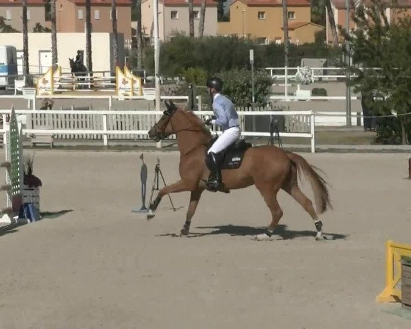 MET III Oliva - Woche 1 (ESP) 2020