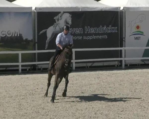 MET III Oliva - Woche 1 (ESP) 2020