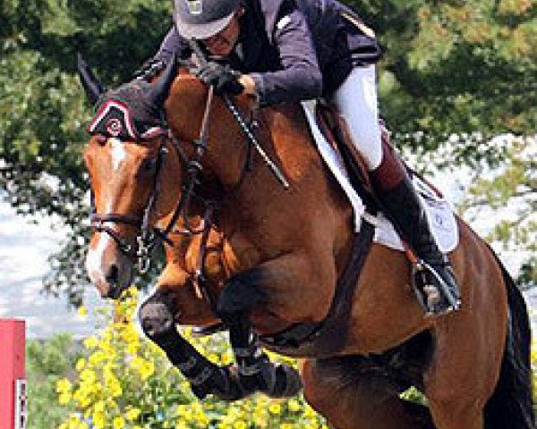 jumper River Dance Semilly (Selle Français, 2005, from Kalaska de Semilly)