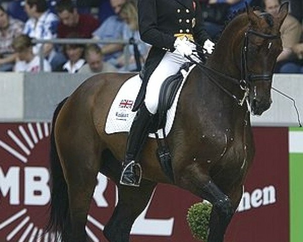 dressage horse Active Walero 18 (Hanoverian, 1991, from Wanderer)