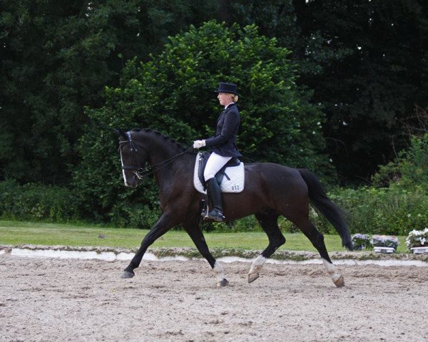 dressage horse De Miro (Rhinelander, 2003, from De Niro)