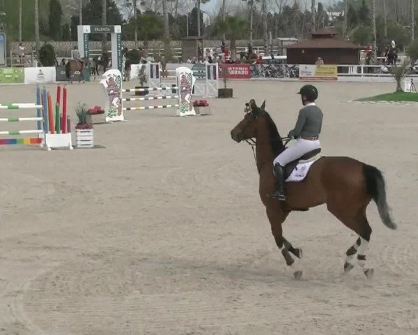 MET III Oliva - Woche 1 (ESP) 2020