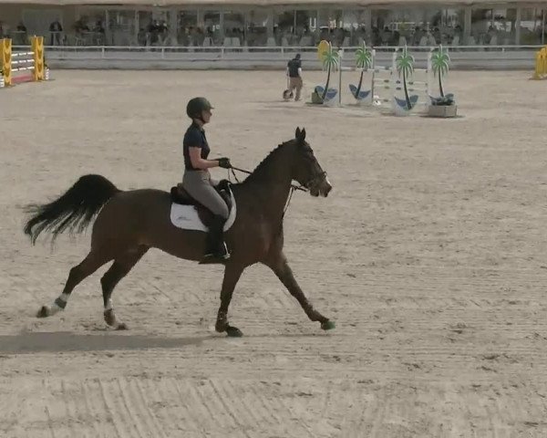 MET III Oliva - Woche 1 (ESP) 2020