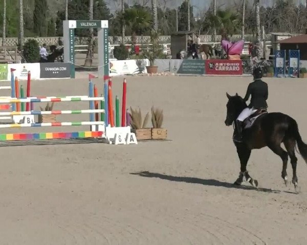 MET III Oliva - Woche 1 (ESP) 2020