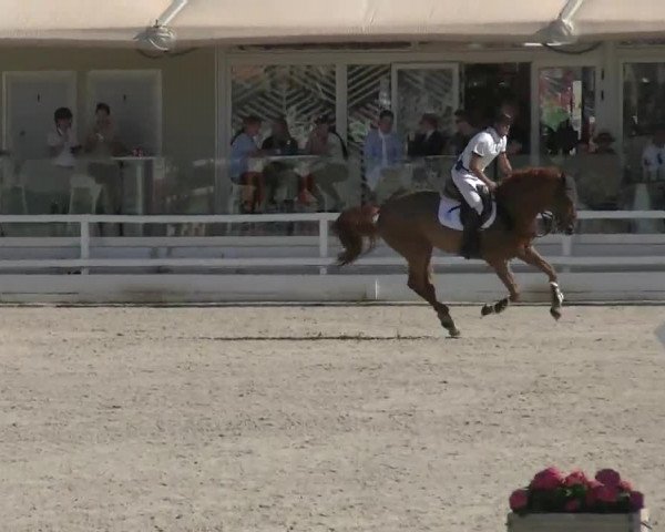 MET III Oliva - Woche 1 (ESP) 2020