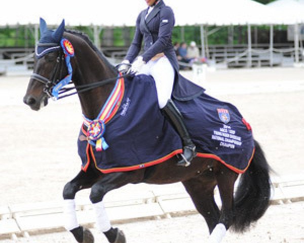 dressage horse Sundayboy (KWPN (Royal Dutch Sporthorse), 1999, from Kennedy)