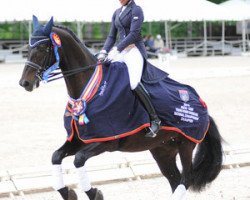 dressage horse Sundayboy (KWPN (Royal Dutch Sporthorse), 1999, from Kennedy)