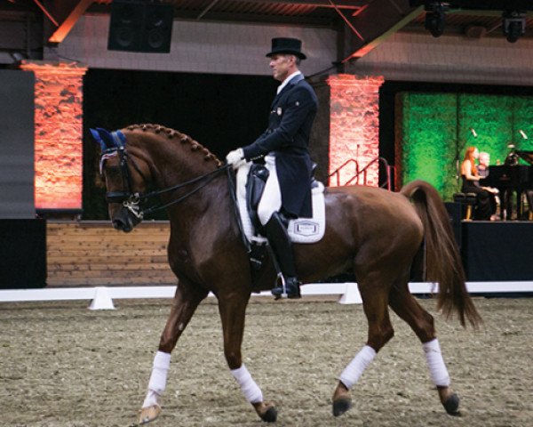 dressage horse Zero Gravity (KWPN (Royal Dutch Sporthorse), 2004, from Royal Hit)