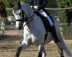 dressage horse Umeeko (KWPN (Royal Dutch Sporthorse), 2001, from Goodlord)