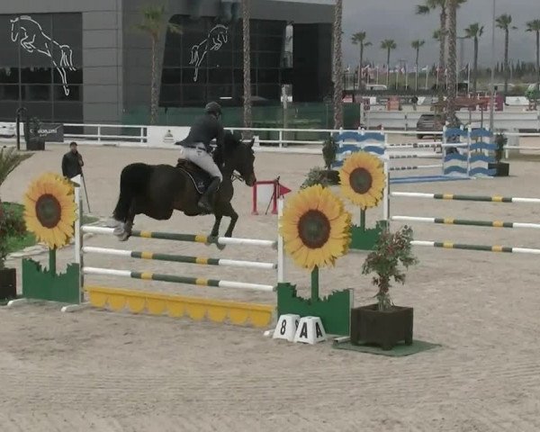 MET III Oliva - Woche 1 (ESP) 2020