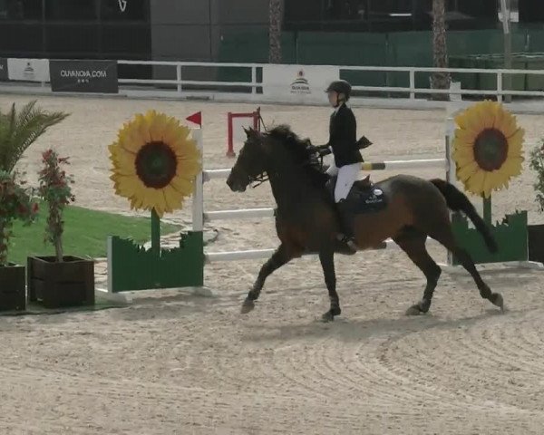 MET III Oliva - Woche 1 (ESP) 2020