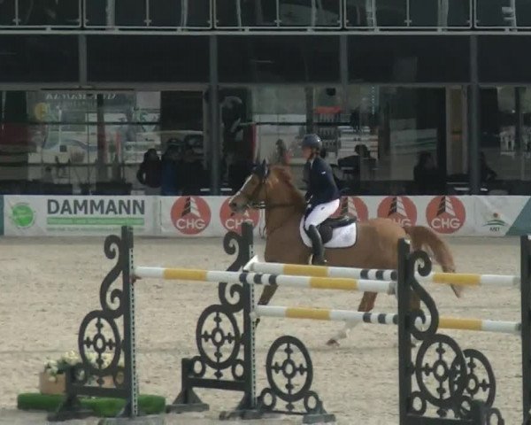 MET III Oliva - Woche 1 (ESP) 2020
