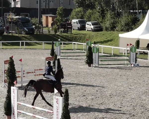 Pferdesporttage Bülach 2021