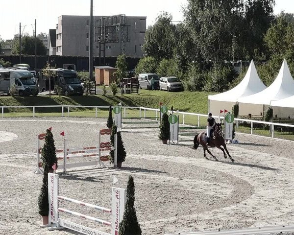 Pferdesporttage Bülach 2021