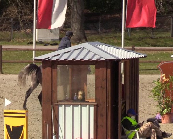 Berufsreitertreffen Westergellersen I 2020