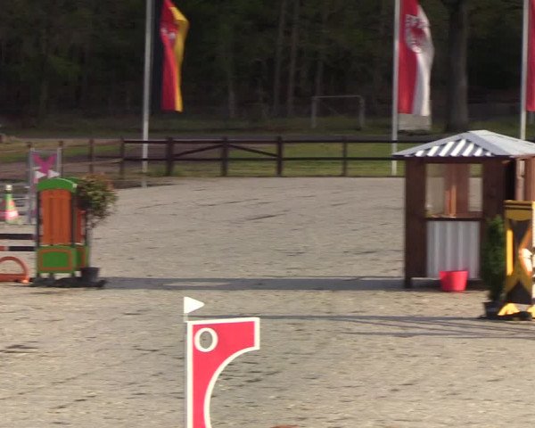 Berufsreitertreffen Westergellersen I 2020