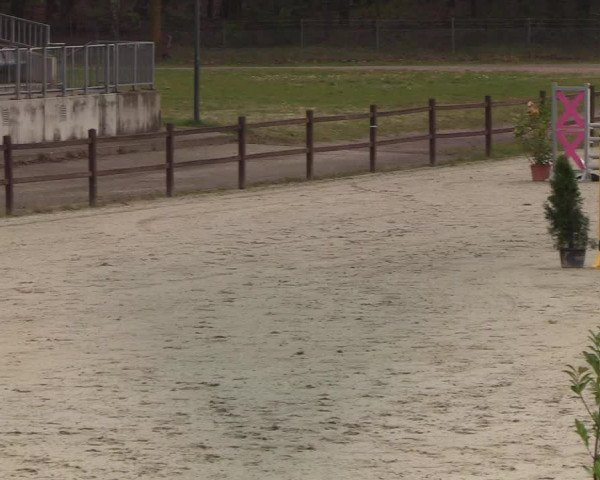 Berufsreitertreffen Westergellersen I 2020