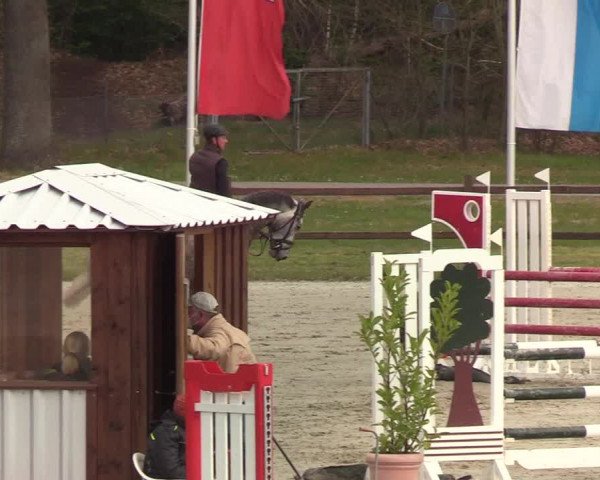 Berufsreitertreffen Westergellersen I 2020
