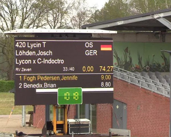 Berufsreitertreffen Westergellersen I 2020