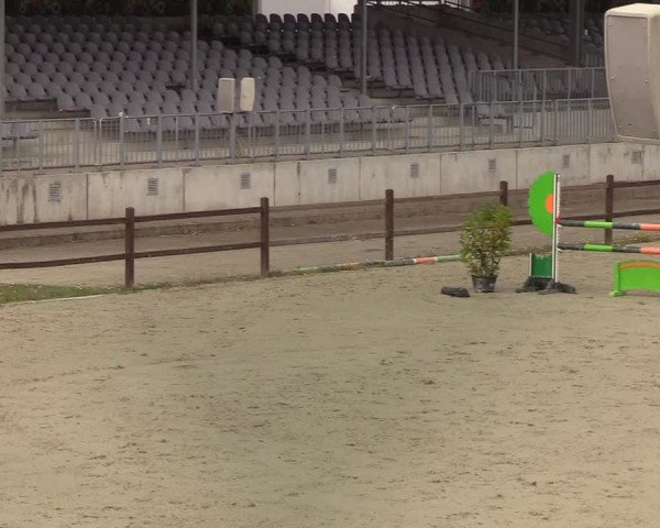 Berufsreitertreffen Westergellersen I 2020