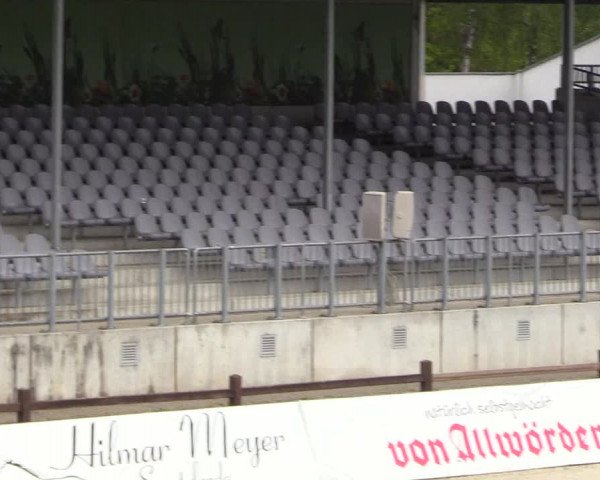 Berufsreitertreffen Westergellersen II 2020